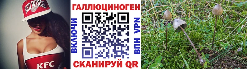 Купить где  Малгобек  Галлюциногенные грибы ЛСД 